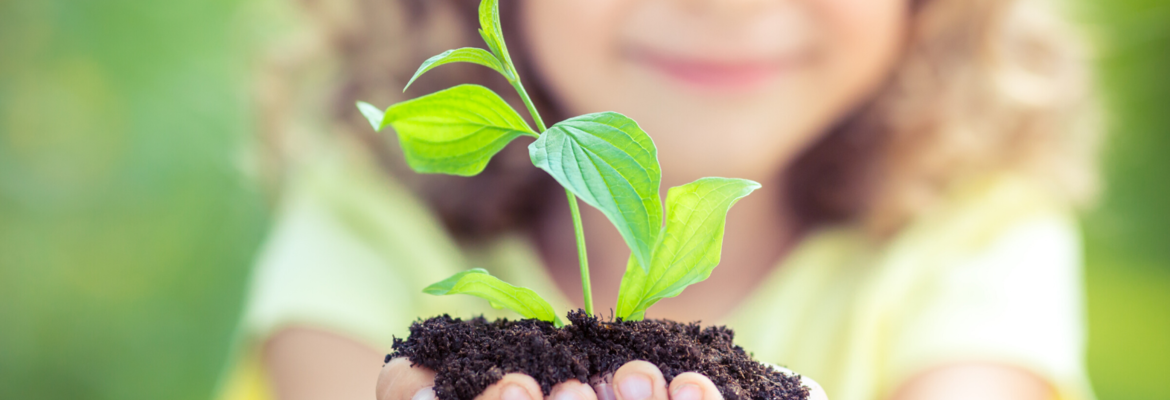 plantas
