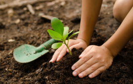 Estoy explorando la naturaleza. - Guías didácticas - 10doigts.fr