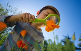 Garden Activities - Creative family activities - 10doigts.fr