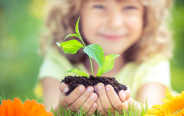 Siembro semillas - Actividades creativas en familia - 10doigts.fr