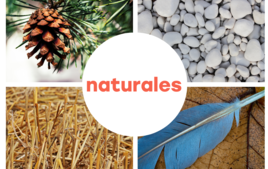 Materiales y productos naturales - Material para Manualidades - 10doigts.fr