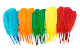 Accessories for Carnival Masks - Creative Activities Carnival - 10doigts.fr