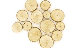 Rodajas de madera para decorar - Complementos de madera - 10doigts.fr