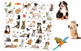 Gomets realistas - Pegatinas, gomets y stickers - 10doigts.fr