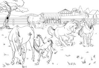 Animales-granja10 - Coloreados de animales - Coloriages - 10doigts.fr