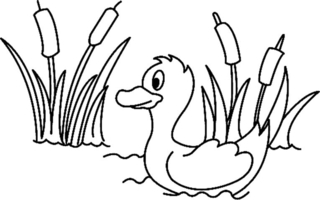 Canard01 - Coloreados de animales - Coloriages - 10doigts.fr