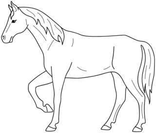 Caballo 08 - Coloreados de animales - Coloriages - 10doigts.fr
