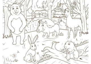 Forest Animals 2 - Animal coloring pages - Coloriages - 10doigts.fr
