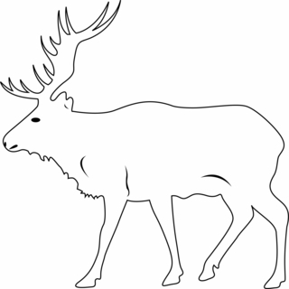 Deer 02 - Animal coloring pages - Coloriages - 10doigts.fr