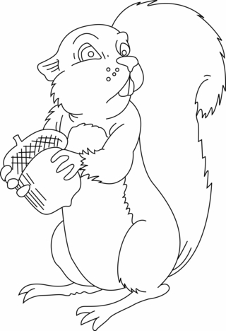 Squirrel 04 - Animal coloring pages - Coloriages - 10doigts.fr