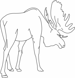 Elan 01 - Animal coloring pages - Coloriages - 10doigts.fr