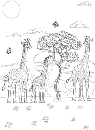 Animales-selva18 - Coloreados de animales - Coloriages - 10doigts.fr