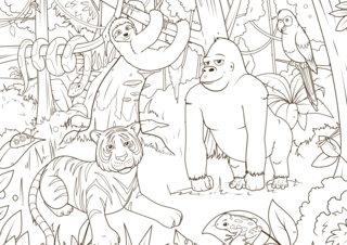 Animales-selva3 - Coloreados de animales - Coloriages - 10doigts.fr