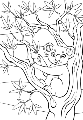 Animales-selva5 - Coloreados de animales - Coloriages - 10doigts.fr
