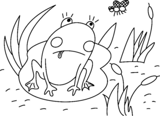 Rana 01 - Coloreados de animales - Coloriages - 10doigts.fr