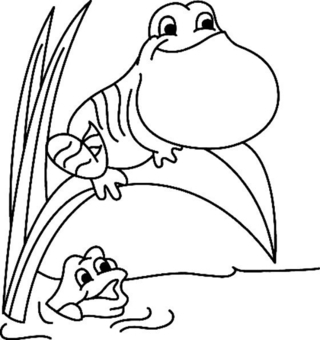 Rana 05 - Coloreados de animales - Coloriages - 10doigts.fr