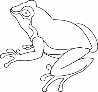 Rana 07 - Coloreados de animales - Coloriages - 10doigts.fr