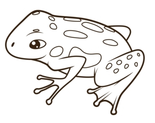 Rana 09 - Coloreados de animales - Coloriages - 10doigts.fr