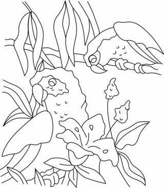 Loro 03 - Coloreados de animales - Coloriages - 10doigts.fr