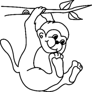 Mono04 - Coloreados de animales - Coloriages - 10doigts.fr