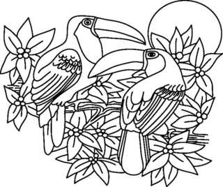 Tucán02 - Coloreados de animales - Coloriages - 10doigts.fr