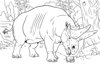 Animales-sabana10 - Coloreados de animales - Coloriages - 10doigts.fr