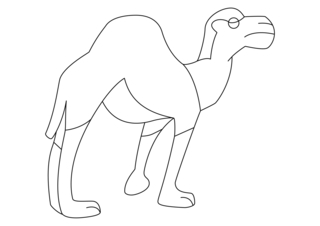 Dromedario 02 - Coloreados de animales - Coloriages - 10doigts.fr