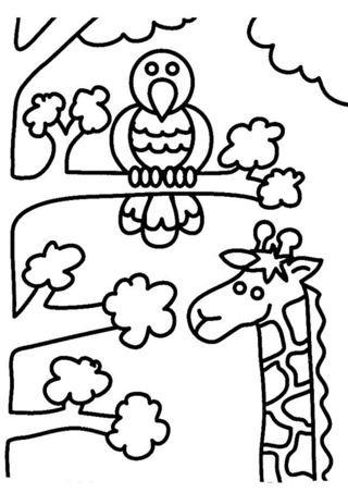 Jirafa y pájaro - Coloreados de animales - Coloriages - 10doigts.fr
