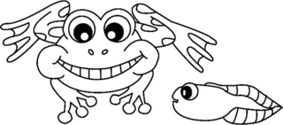 Rana04 - Coloreados de animales - Coloriages - 10doigts.fr