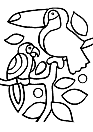 Tucán y loro 001 - Coloreados de animales - Coloriages - 10doigts.fr