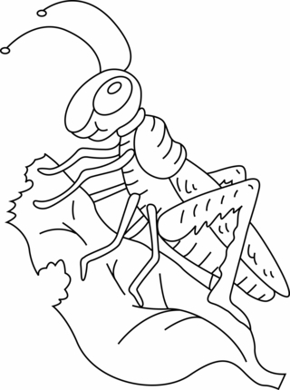 Saltamontes 01 - Coloreados de animales - Coloriages - 10doigts.fr