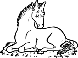 Animales domésticos10 - Coloreados de animales - Coloriages - 10doigts.fr