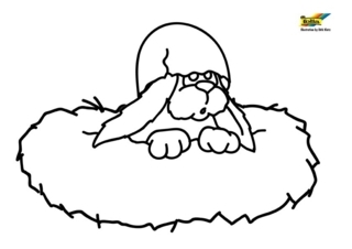 Perro 35 - Coloreados de animales - Coloriages - 10doigts.fr