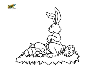 Conejo n56 - Coloreados de animales - Coloriages - 10doigts.fr