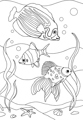 Animales marinos8 - Coloreados de animales - Coloriages - 10doigts.fr