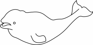 Ballena 07 - Coloreados de animales - Coloriages - 10doigts.fr