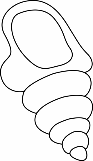 Concha 03 - Coloreados de animales - Coloriages - 10doigts.fr