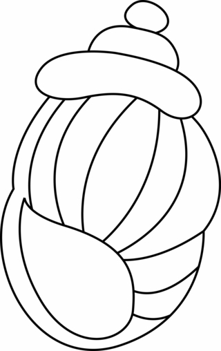 Concha 04 - Coloreados de animales - Coloriages - 10doigts.fr