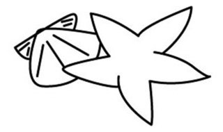 Estrella de mar 03 - Coloreados de animales - Coloriages - 10doigts.fr