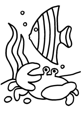 Pez y cangrejo 01 - Coloreados de animales - Coloriages - 10doigts.fr