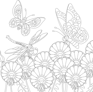 Animales voladores19 - Coloreados de animales - Coloriages - 10doigts.fr