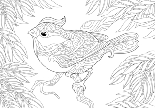 Animales-voladores21 - Coloreados de animales - Coloriages - 10doigts.fr