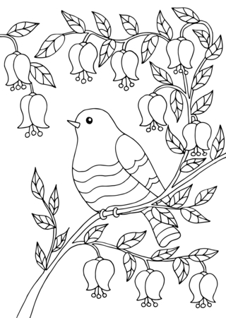Animales voladores9 - Coloreados de animales - Coloriages - 10doigts.fr