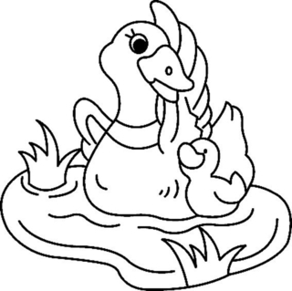 Pato 04 - Coloreados de animales - Coloriages - 10doigts.fr