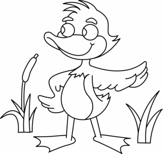 Pato 14 - Coloreados de animales - Coloriages - 10doigts.fr