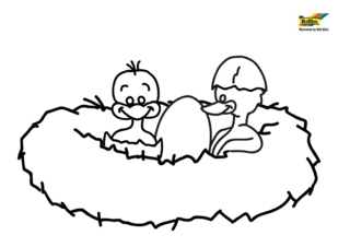Pato 24 - Coloreados de animales - Coloriages - 10doigts.fr