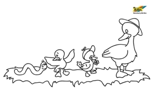 Pato 26 - Coloreados de animales - Coloriages - 10doigts.fr