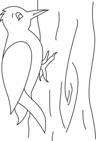 Pájaro 12 - Coloreados de animales - Coloriages - 10doigts.fr