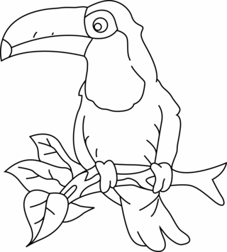 Tucán 03 - Coloreados de animales - Coloriages - 10doigts.fr