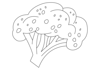 Broccoli 01 - Coloring pages of flowers, fruits, and vegetables - Coloring book - 10doigts.com